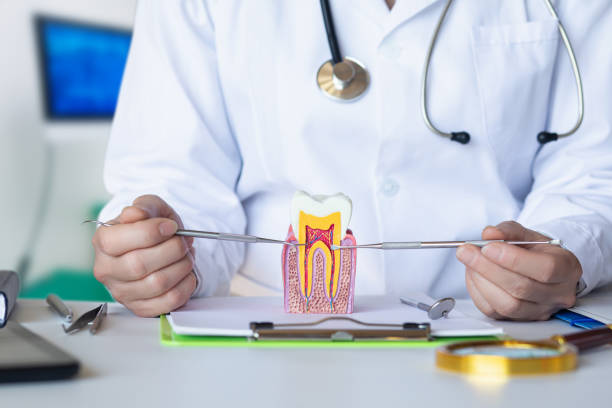 Best Emergency Dental Care for Abscessed Tooth in Wheatland, CA